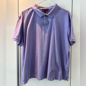 Banana Republic Large Luxe Touch Performance polo in Light Purple